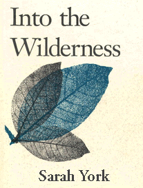 Into-the-Wilderness-cover
